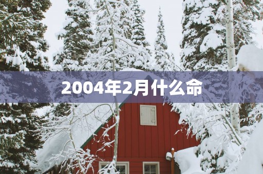 2004年2月什么命