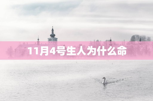 11月4号生人为什么命
