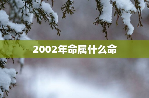 2002年命属什么命