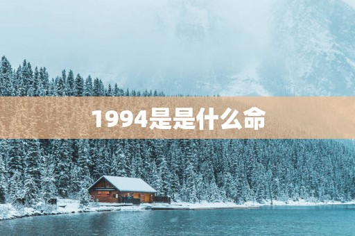 1994是是什么命