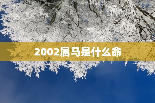 2002属马是什么命