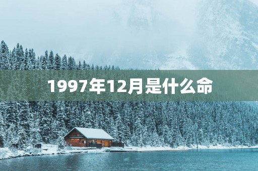 1997年12月是什么命