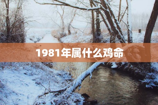 1981年属什么鸡命