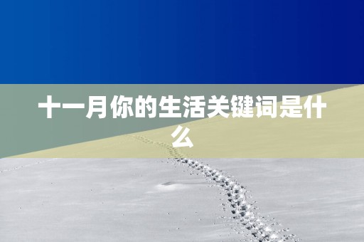 十一月你的生活关键词是什么