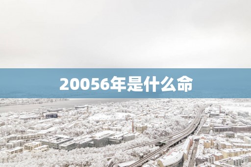 20056年是什么命