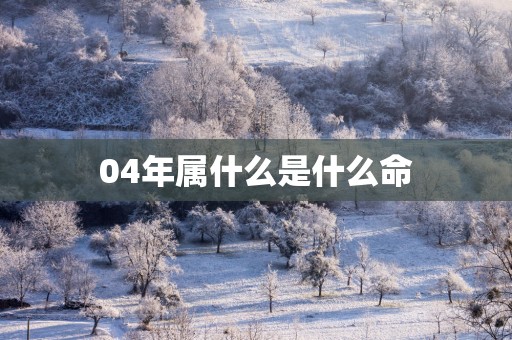 04年属什么是什么命