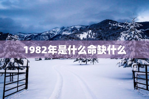 1982年是什么命缺什么