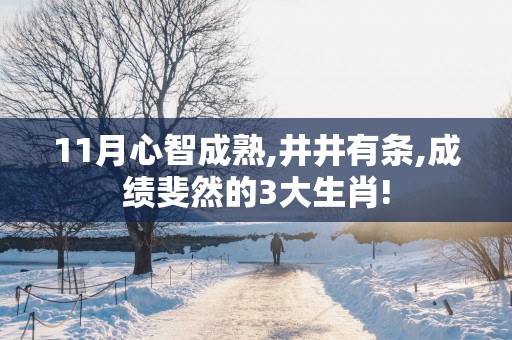 11月心智成熟,井井有条,成绩斐然的3大生肖!