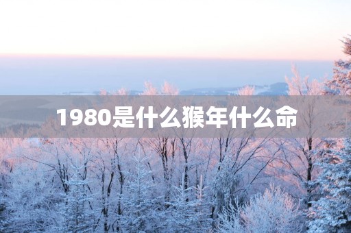 1980是什么猴年什么命