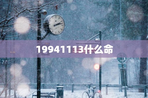 19941113什么命