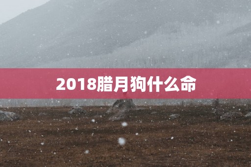 2018腊月狗什么命