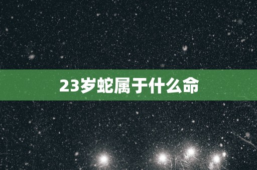 23岁蛇属于什么命