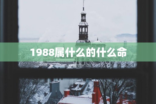 1988属什么的什么命