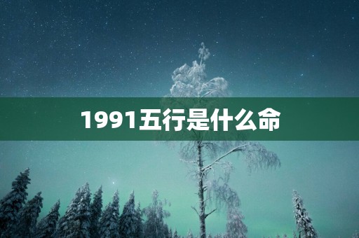 1991五行是什么命