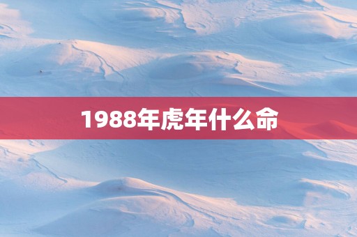 1988年蛇年什么命