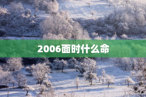 2006面时什么命