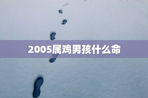 2005属鸡男孩什么命