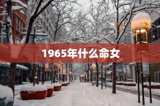 1965年什么命女