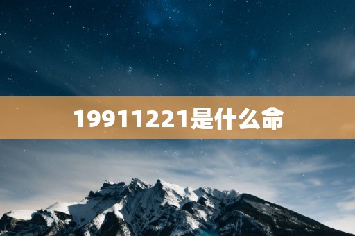 19911221是什么命