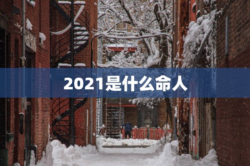 2025是什么命人