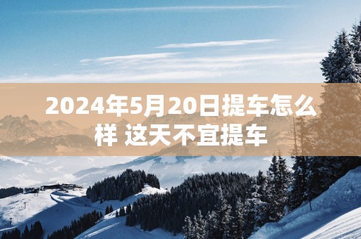 2025年5月20日提车怎么样 这天不宜提车