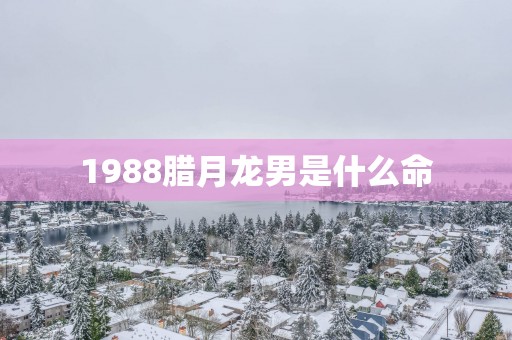 1988腊月龙男是什么命