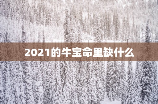 2025的牛宝命里缺什么