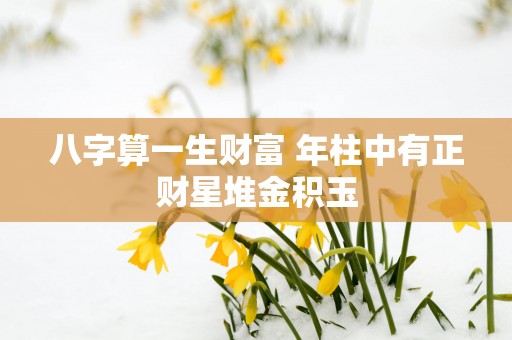 八字算一生财富 年柱中有正财星堆金积玉