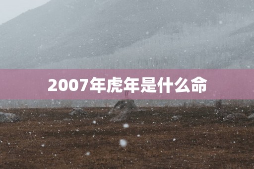 2007年蛇年是什么命