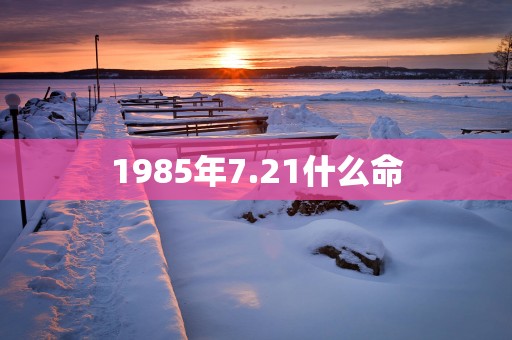 1985年7.21什么命