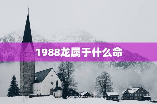 1988龙属于什么命