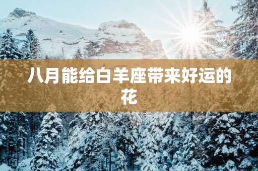 八月能给白羊座带来好运的花
