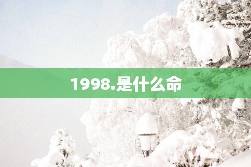 1998.是什么命
