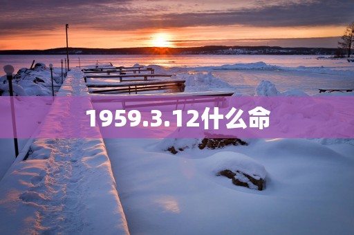1959.3.12什么命