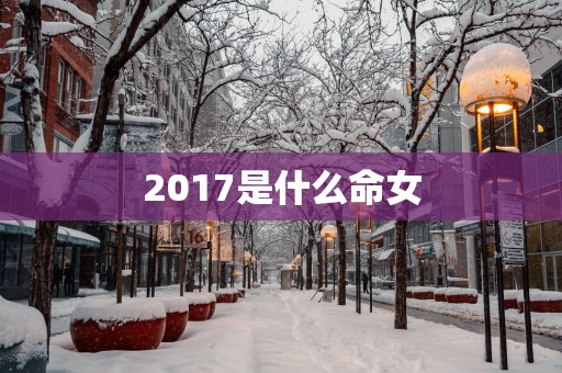 2017是什么命女