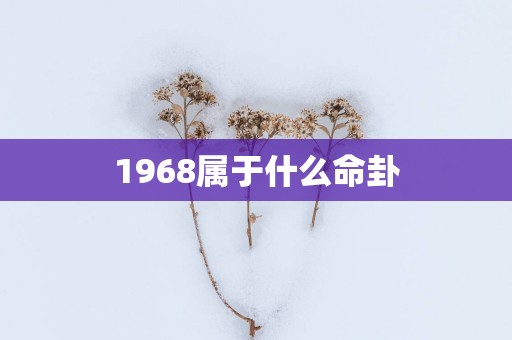 1968属于什么命卦