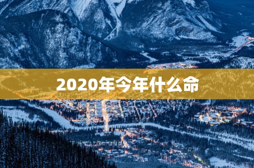 2025年今年什么命