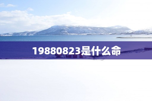 19880823是什么命