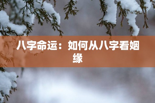 八字命运：如何从八字看姻缘