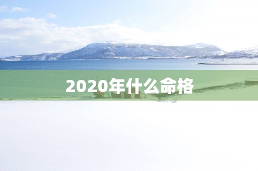 2025年什么命格