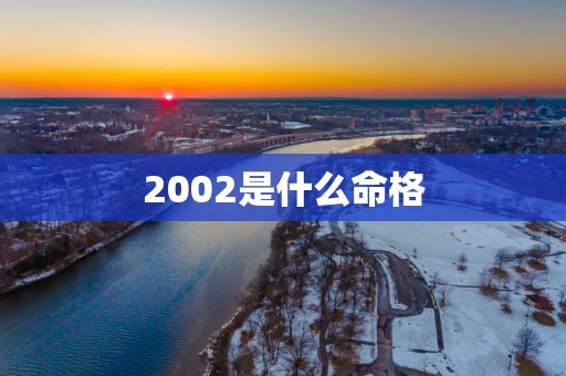 2002是什么命格