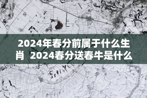 2025年春分前属于什么生肖  2025春分送春牛是什么意思
