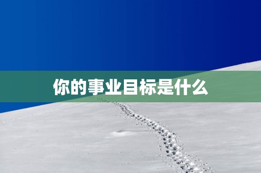 你的事业目标是什么