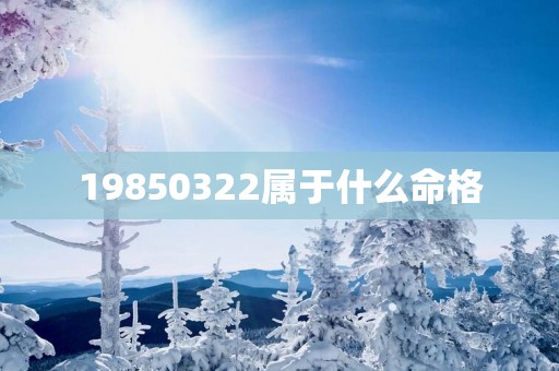 19850322属于什么命格