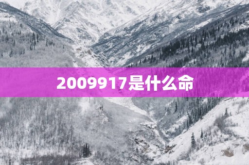 2009917是什么命