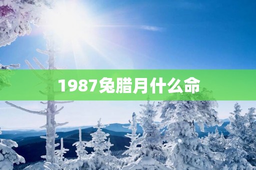 1987兔腊月什么命