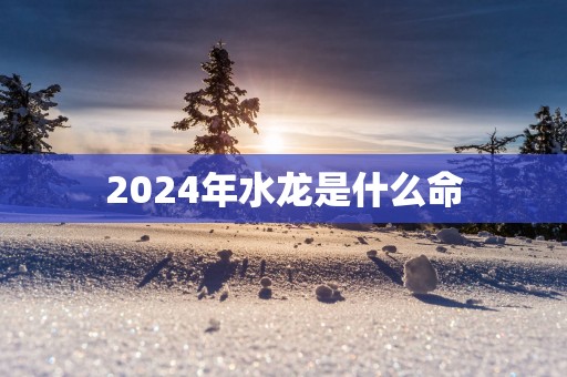 2025年水龙是什么命