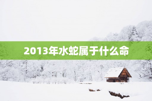2013年水蛇属于什么命