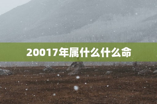 20017年属什么什么命
