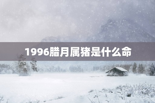 1996腊月属猪是什么命